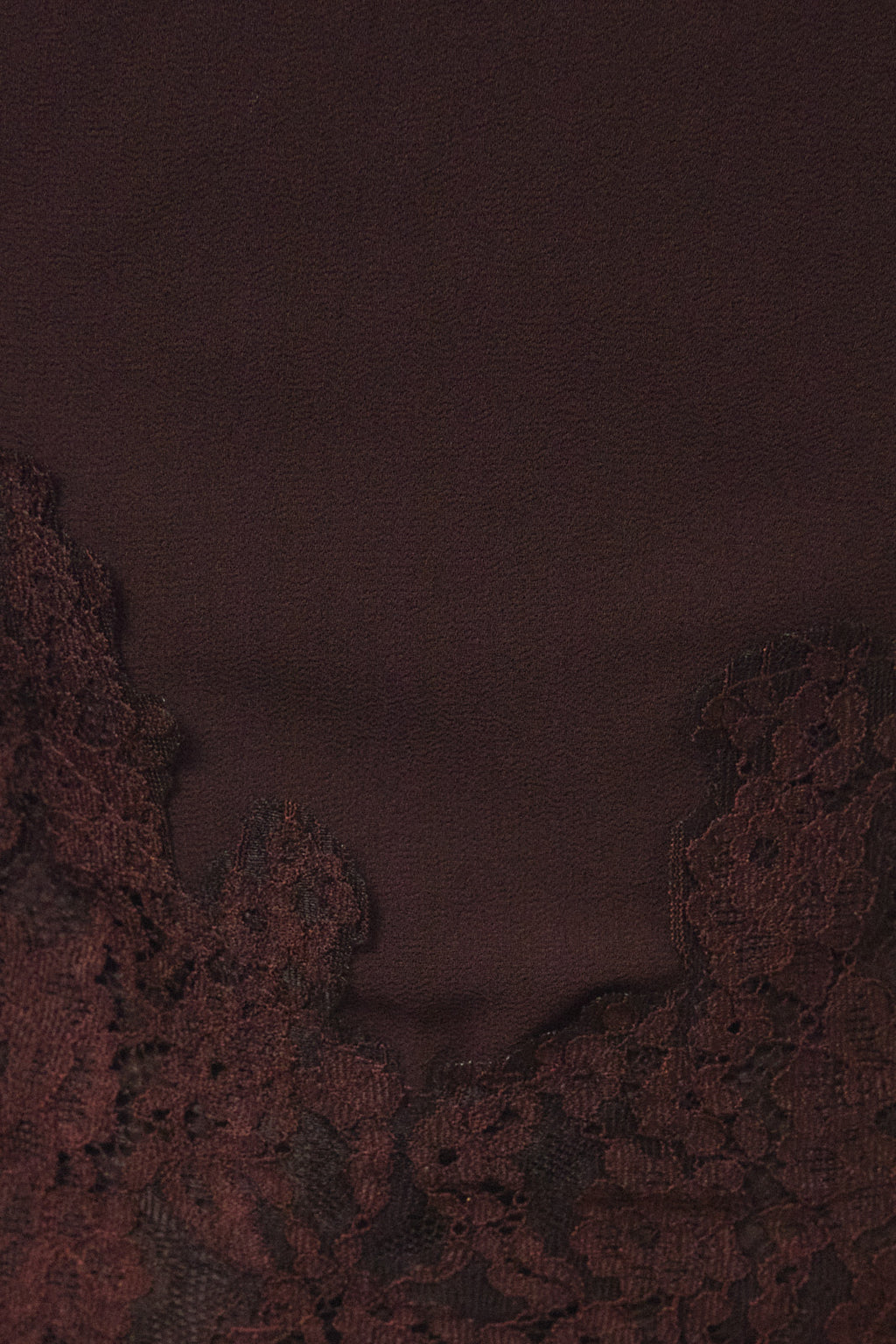 Legacy Lace Top