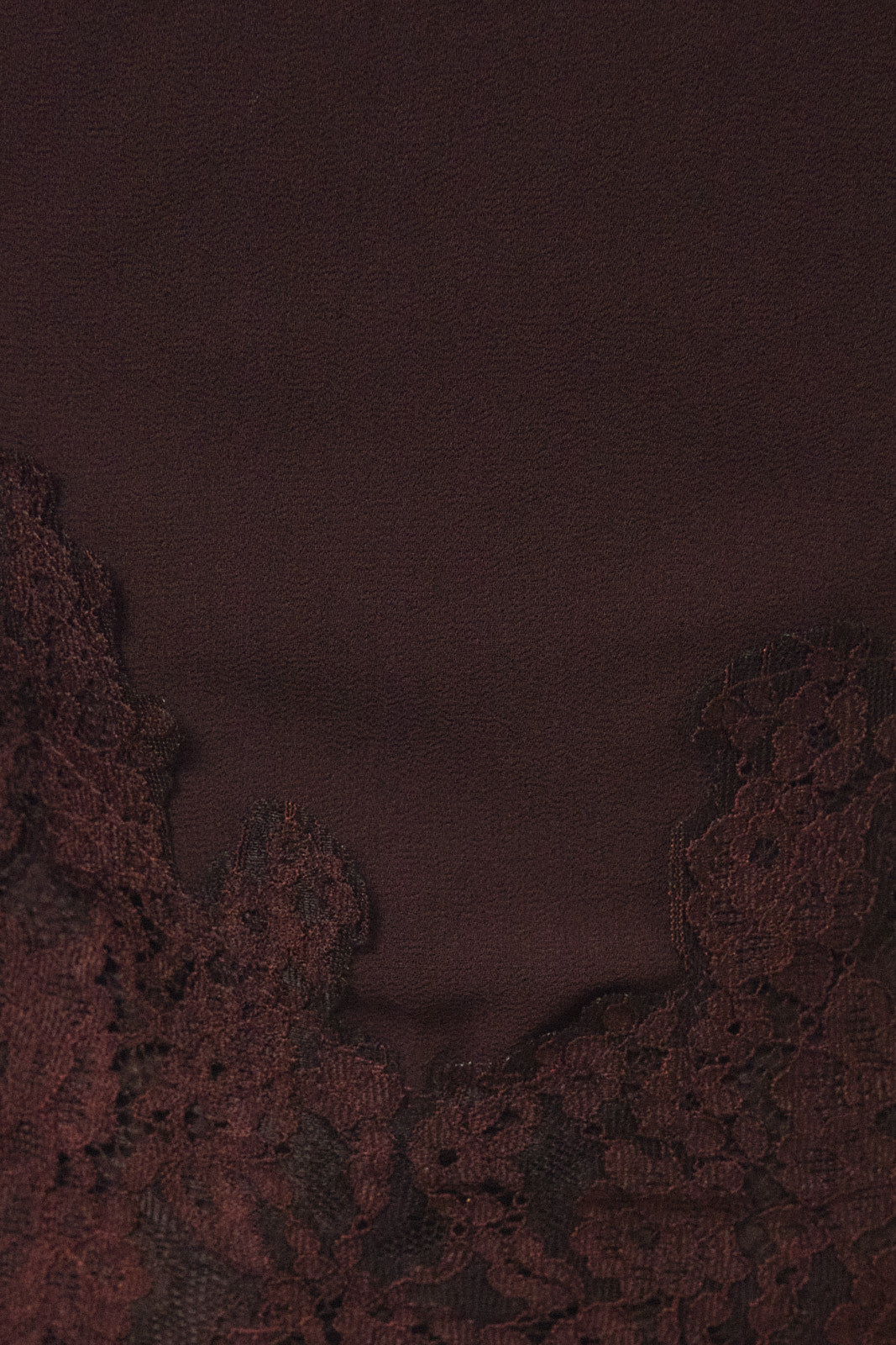 Legacy Lace Top